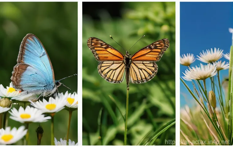 전산세무회계 시험 기출 문제 풀이 - Here are three image generation prompts in English, designed according to your guidelines: